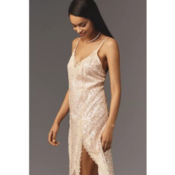 Brand New En Elly Sleeveless V-Neck Lace Sequin Slip Midi Dress - Picture 13 of 14